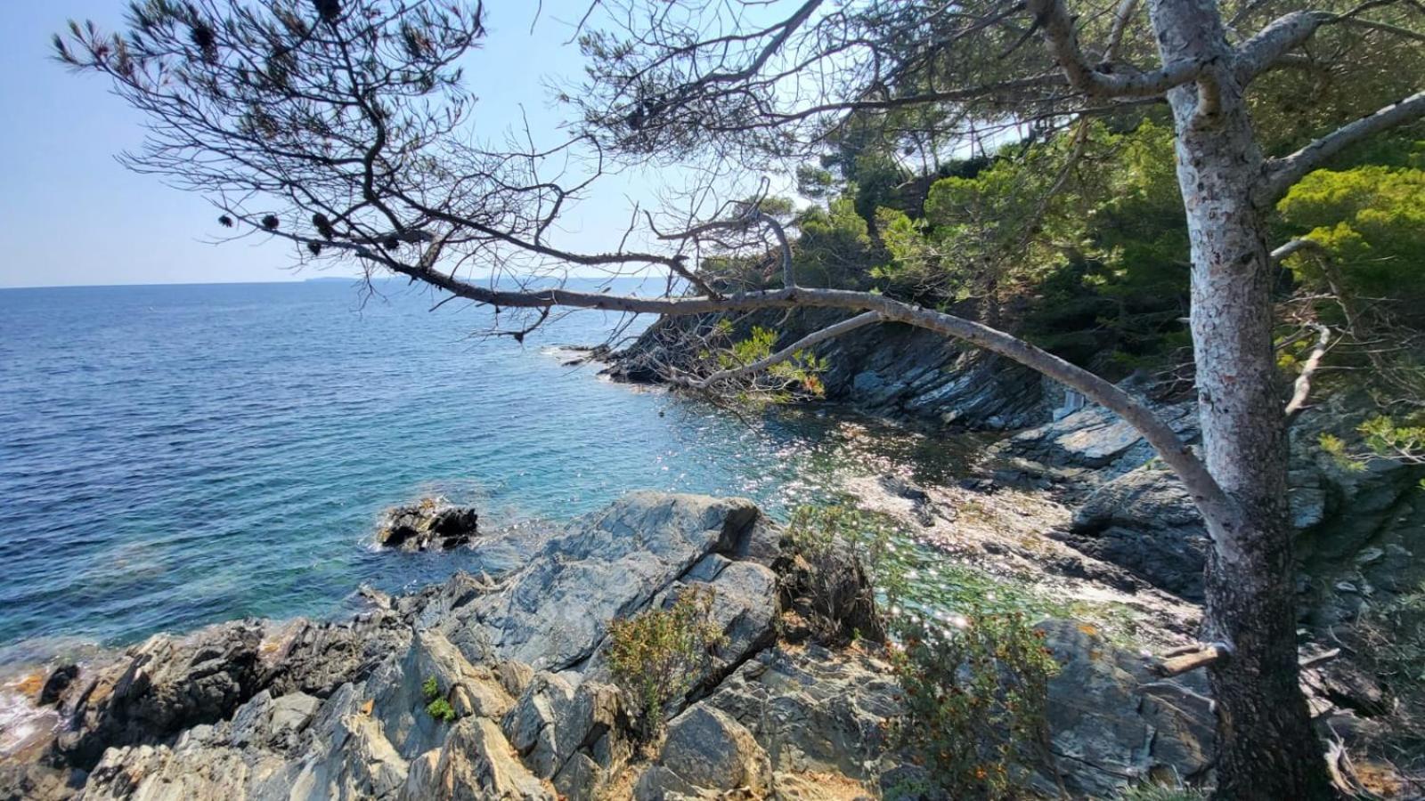 Golfe De Saint Tropez Terrasses De Sylvabelle Gigaro Apartman La Croix-Valmer Kültér fotó